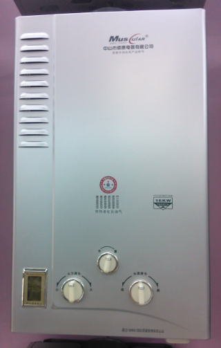 Gas Water Heater Stove-Piped 8 L10l Strong Exhaust 12 Liters Natural Gas Liquefied Gas