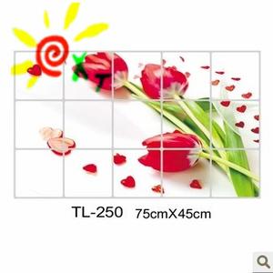 XT-1589 heat resistant and easy to take care of the kitchen cabinets take off stove exhaust hood kitchen oil stickers
