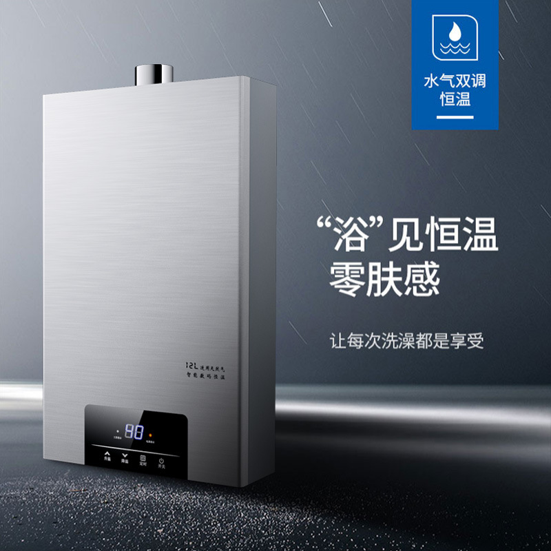 In Stock Wholesale Hotata Natural Gas Water Heater Electric Household Constant Temperature Strong Exhaust Liquefied Gas 12 Liters