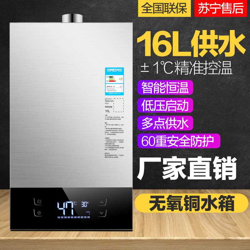 In Stock Wholesale Hotata Natural Gas Water Heater Electric Household Constant Temperature Strong Exhaust Liquefied Gas 12 Liters