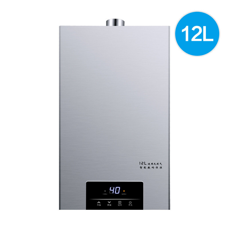 In Stock Wholesale Hotata Natural Gas Water Heater Electric Household Constant Temperature Strong Exhaust Liquefied Gas 12 Liters