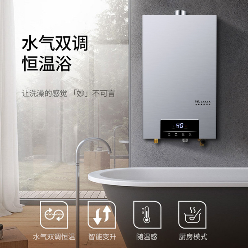 In Stock Wholesale Hotata Natural Gas Water Heater Electric Household Constant Temperature Strong Exhaust Liquefied Gas 12 Liters