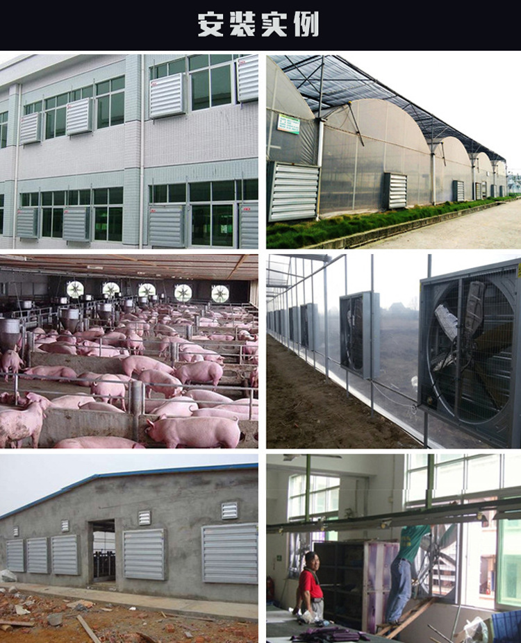 Negative Pressure Blowers Industrial Ventilating Fan High-Power Powerful Livestock Exhaust Fan Ventilator Greenhouse Farm Exhaust Fan