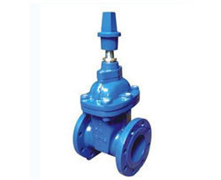 Locking type Rubber-seat non rising stem gate valve