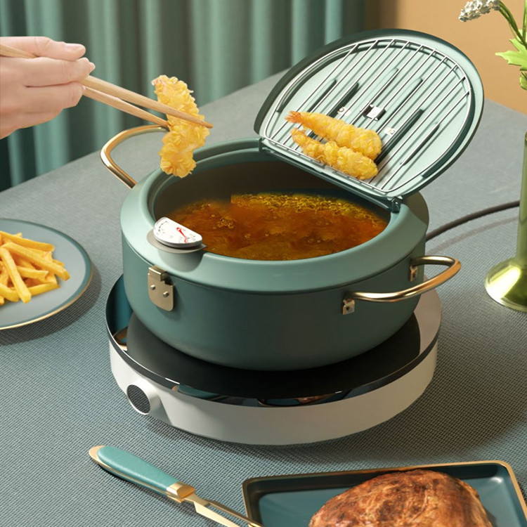Deep Frying Pan Household Mini Deep Oil Filter Pot with Thermometer DeepFat Fryer Frying Pan Stainless Steel Household