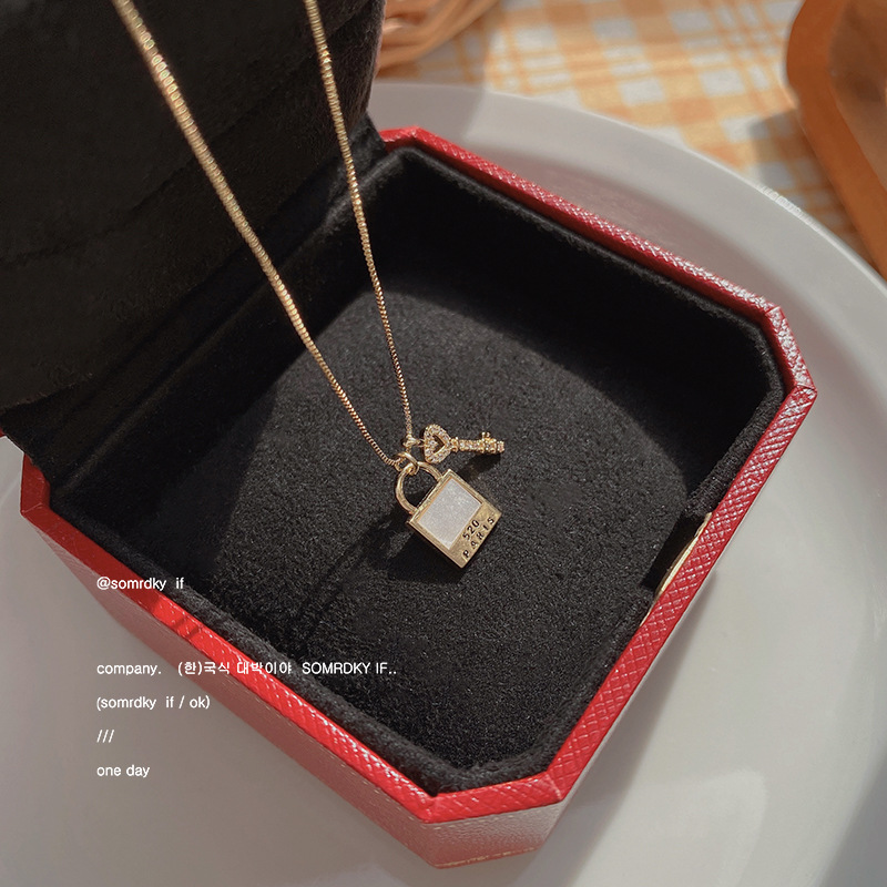 Japanese and Korean Style Special Interest Light Luxury Key Lock Pendant Titanium Steel Necklace Women&#039;s Simple Graceful Online Influencer Clavicle Chain Couple Accessories