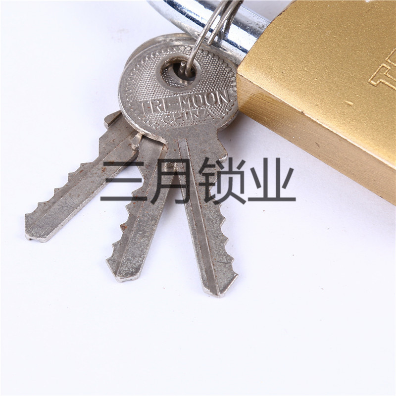General lock small padlock imitation copper padlock students wardrobe small lock case lock warehouse door iron lock head