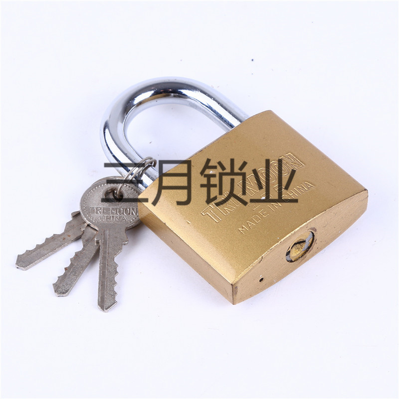 General lock small padlock imitation copper padlock students wardrobe small lock case lock warehouse door iron lock head
