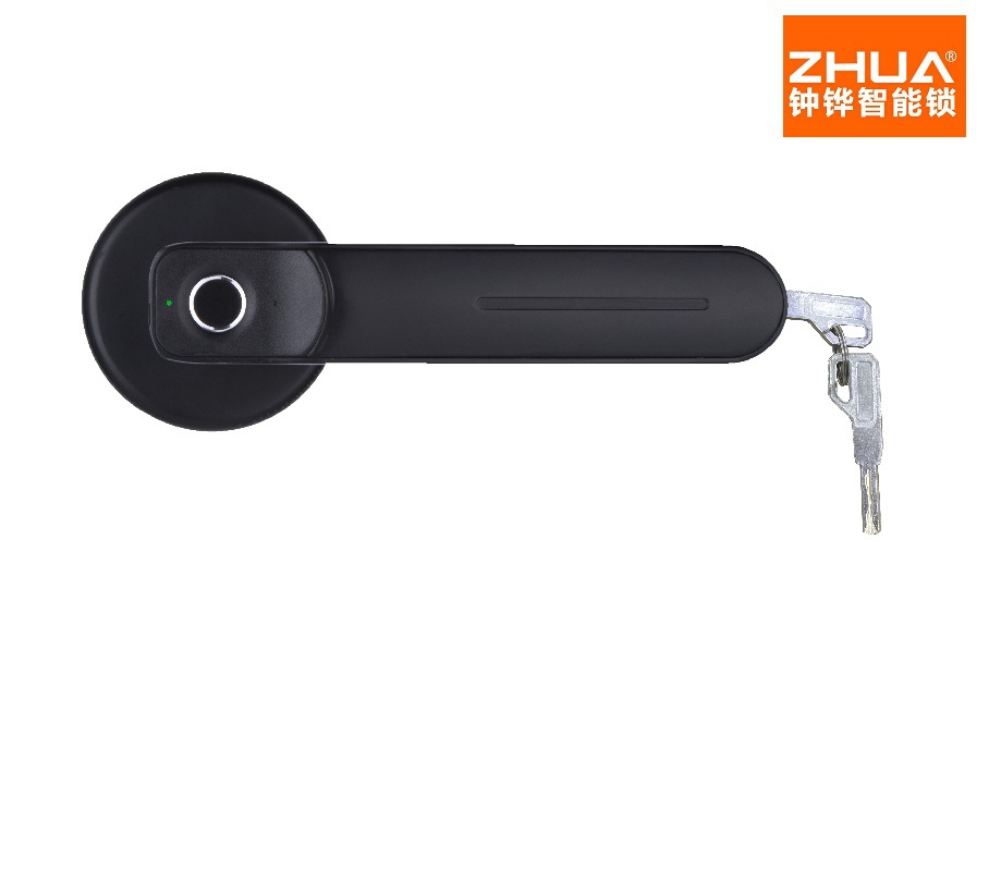Indoor Bedroom Wooden Door Fingerprint Lock Office Home Ball Lock Door Lock Handle Electronic Smart Lock Room Door Fingerprint Lock