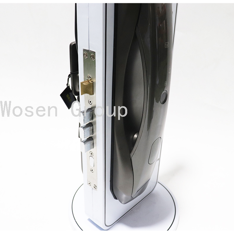 Automatic Security Door Household Magnetic Card Fingerprint Lock Smart Home Electronic Lock Smart Lock