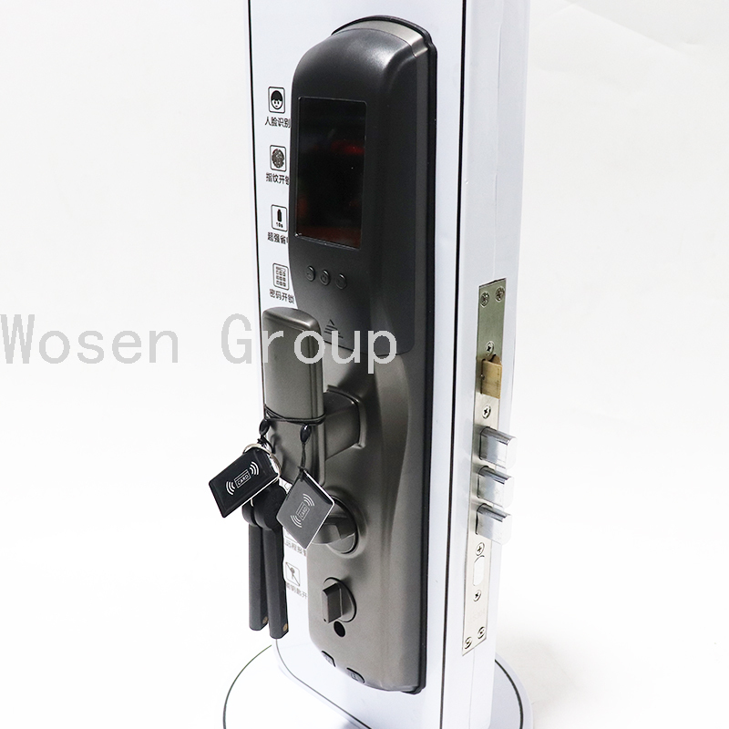 Automatic Security Door Household Magnetic Card Fingerprint Lock Smart Home Electronic Lock Smart Lock