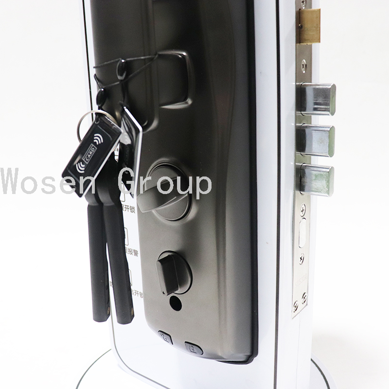 Automatic Security Door Household Magnetic Card Fingerprint Lock Smart Home Electronic Lock Smart Lock