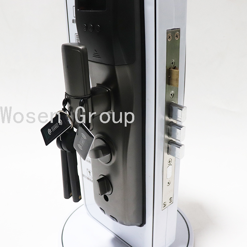 Automatic Security Door Household Magnetic Card Fingerprint Lock Smart Home Electronic Lock Smart Lock