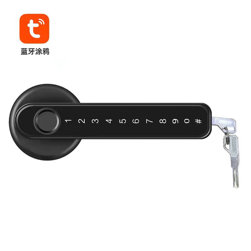 Graffiti Smart Lock Mobile Phone Bluetooth Control Indoor Wooden Door Room Bedroom Office Fingerprint Lock Password Bedroom Door Lock