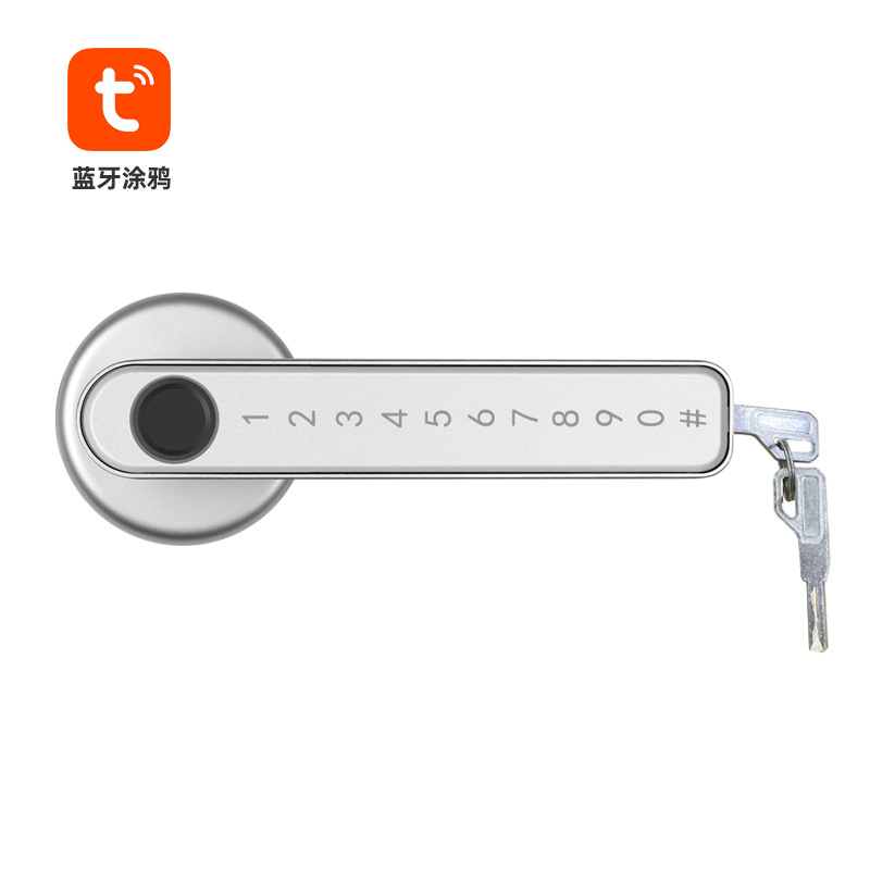Graffiti Smart Lock Mobile Phone Bluetooth Control Indoor Wooden Door Room Bedroom Office Fingerprint Lock Password Bedroom Door Lock