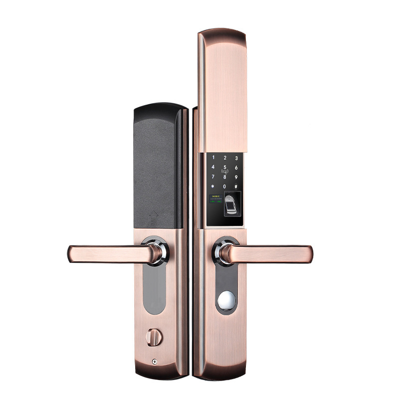 Fingerprint Lock Household Anti-Theft Door Password Lock Automatic Slide Bed &amp; Breakfast Apartment Smart Home Electronic Lock