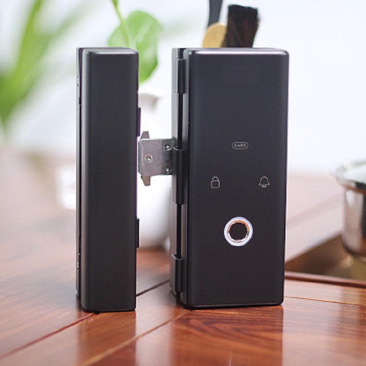 Office Double Open Glass Door Fingerprint Lock Wooden Door Bluetooth Electronic Lock Graffiti Tuya Smart Remote Password Lock