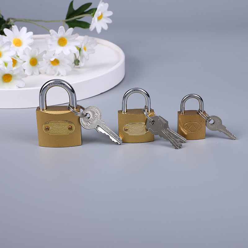 Factory in Stock 25 Mm20mm Lock Head Door Lock Padlock Imitation Copper Lock Student Padlock Wholesale Two Yuan Store Hardware Department Store