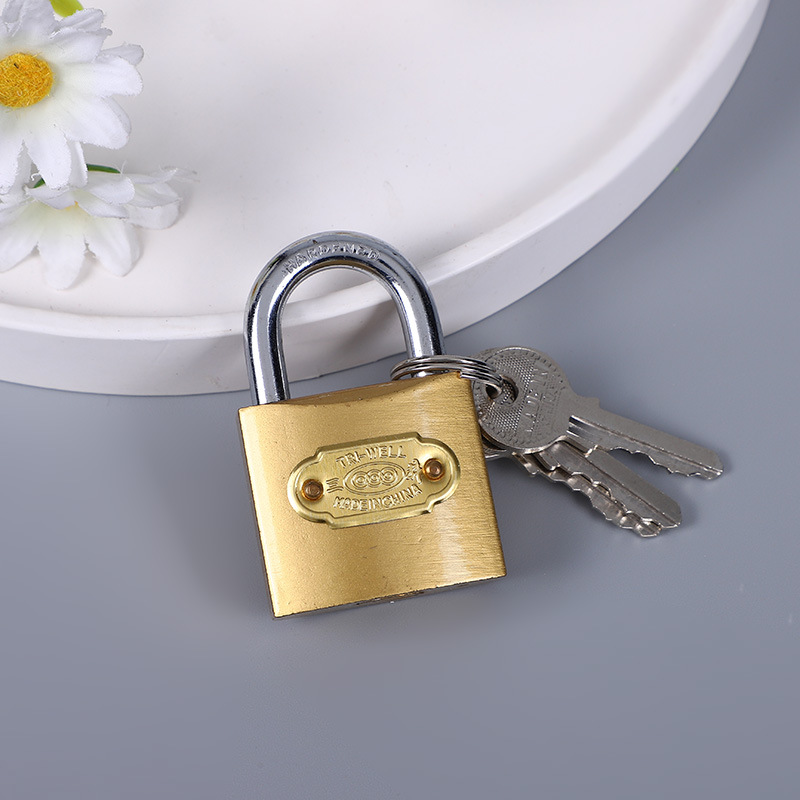 Factory in Stock 25 Mm20mm Lock Head Door Lock Padlock Imitation Copper Lock Student Padlock Wholesale Two Yuan Store Hardware Department Store