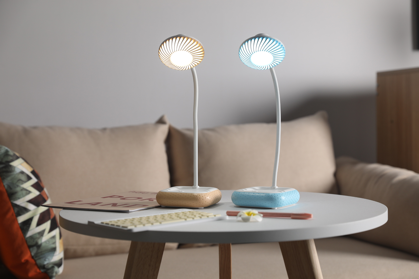 Factory Direct Sales Fashion Simple USB Rechargeable Desk Lamp Touch Switch Table Lamp Bedroom Small Night Lamp Study Lamp