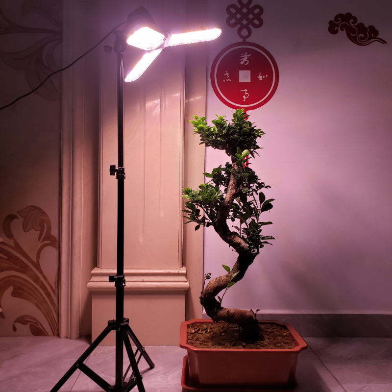 Cross-Border Supply Tripod Plant Light Telescopic Lamp Holder Aluminum Alloy Bracket with Switch E27 Screw Holder Wholesale