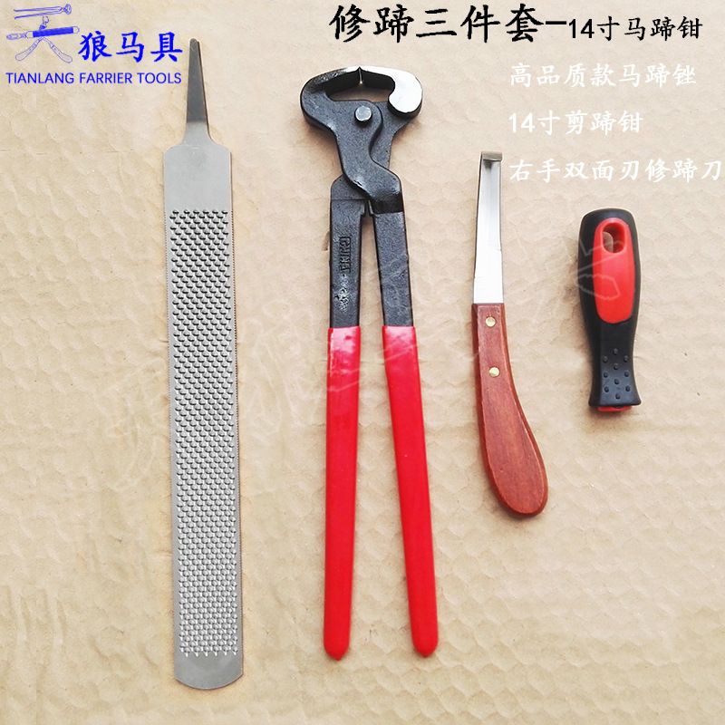 Tool Hoof Cutting Pliers Hoof File Hoof Cutting Knife Horseshoe Cutting Large Plate File Horse Room Tool for Wolf Horse