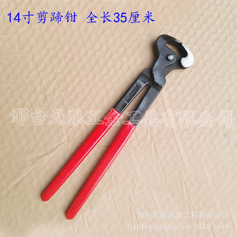 Tool Hoof Cutting Pliers Hoof File Hoof Cutting Knife Horseshoe Cutting Large Plate File Horse Room Tool for Wolf Horse