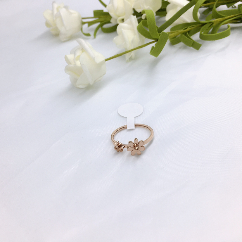 Korean Hot-Selling Titanium Steel Rose Gold Ring Trendy Wild Ring Factory Direct Sales