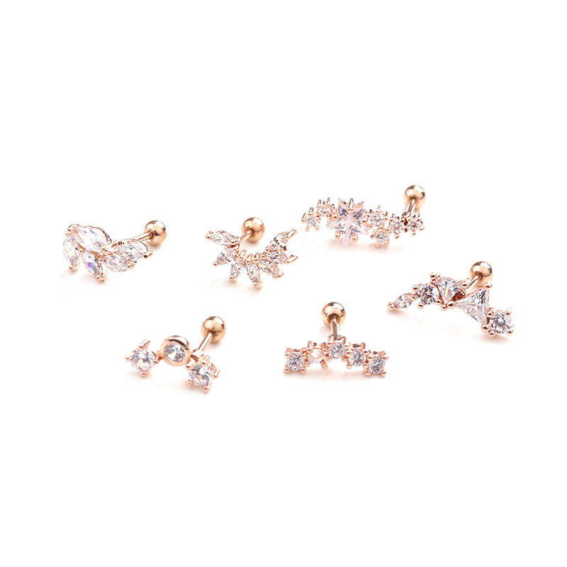 Foreign Trade New Leaf Stainless Steel Studs Pentagram Zircon Ear Bone Stud Screw Earrings Cross-Border Puncture