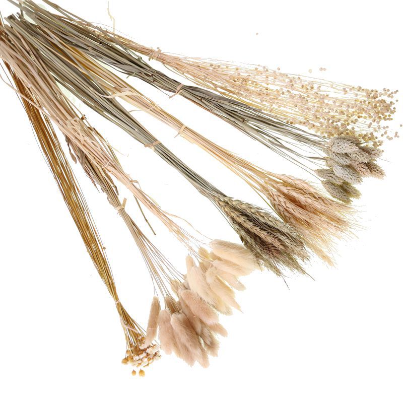 Yunnan Dried Flower Wheat Rabbit Tail Grass Happy Flower Gem Grass Small Bitter Hemp Bouquet Cross-Border Wholesale