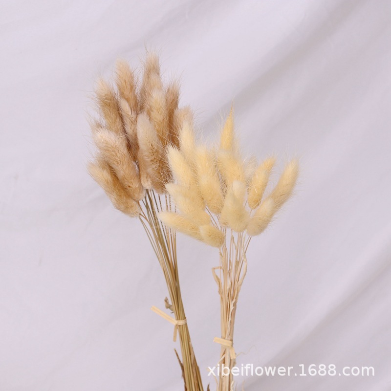 Yunnan Dried Flower Wheat Rabbit Tail Grass Happy Flower Gem Grass Small Bitter Hemp Bouquet Cross-Border Wholesale