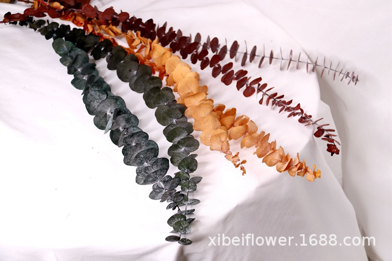 Yunnan Dried Flower Wheat Rabbit Tail Grass Happy Flower Gem Grass Small Bitter Hemp Bouquet Cross-Border Wholesale