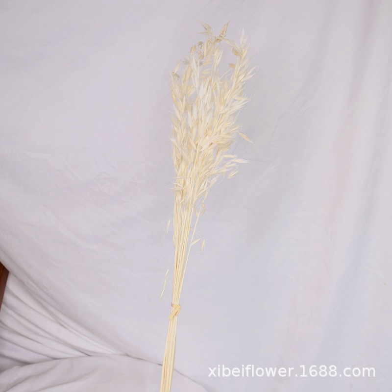 Yunnan Dried Flower Wheat Rabbit Tail Grass Happy Flower Gem Grass Small Bitter Hemp Bouquet Cross-Border Wholesale
