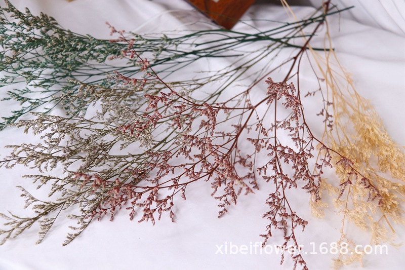 Yunnan Dried Flower Wheat Rabbit Tail Grass Happy Flower Gem Grass Small Bitter Hemp Bouquet Cross-Border Wholesale
