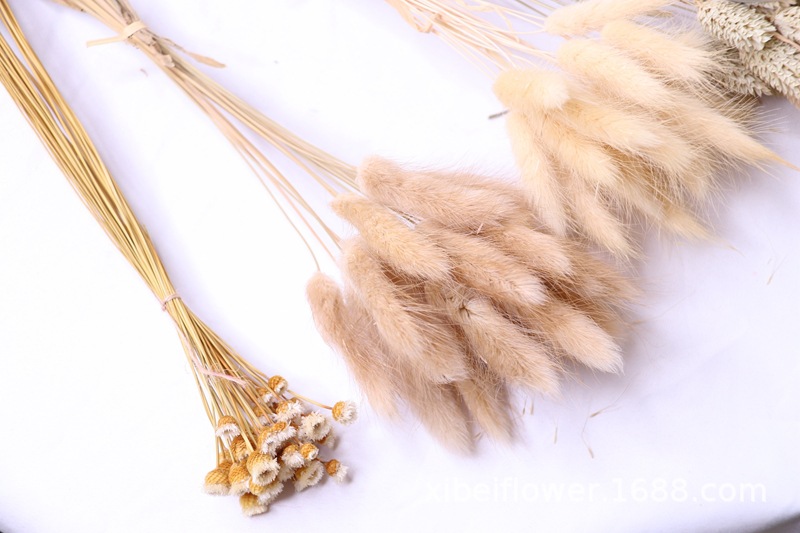 Yunnan Dried Flower Wheat Rabbit Tail Grass Happy Flower Gem Grass Small Bitter Hemp Bouquet Cross-Border Wholesale