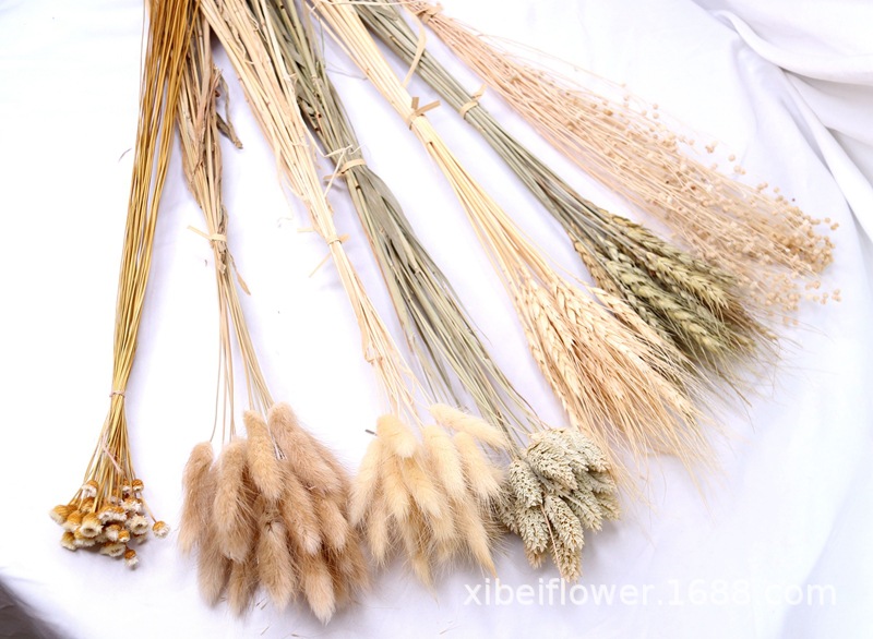 Yunnan Dried Flower Wheat Rabbit Tail Grass Happy Flower Gem Grass Small Bitter Hemp Bouquet Cross-Border Wholesale