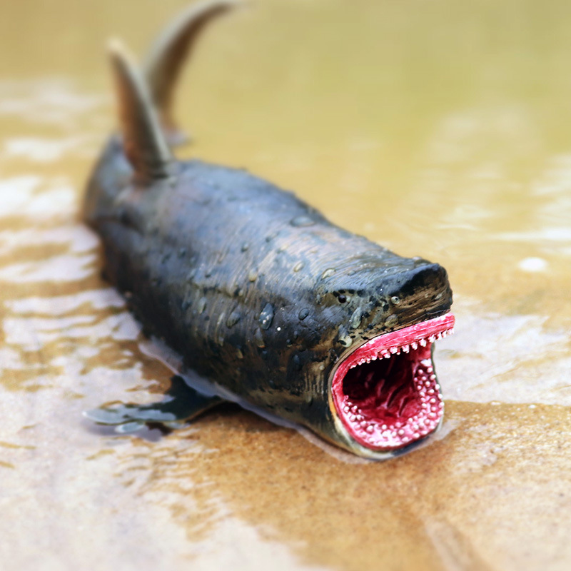 Simulation Model of Marine animals Giant aquarium man-eating shark SHARK Jaws Tiger Children Toy Furnishing articles Simulation Model of Marine animals Giant aquarium man-eating shark SHARK Jaws Tiger Children Toy Furnishing articles