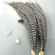Factory High Quality Supply Natural Color Pearl Chicken Feather Cloth Edge Clothing Accessories Jewelry Decoration Feather Handicraft