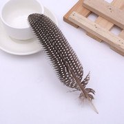 Factory High Quality Supply Natural Color Pearl Chicken Feather Cloth Edge Clothing Accessories Jewelry Decoration Feather Handicraft