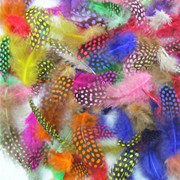Factory High Quality Supply Natural Color Pearl Chicken Feather Cloth Edge Clothing Accessories Jewelry Decoration Feather Handicraft