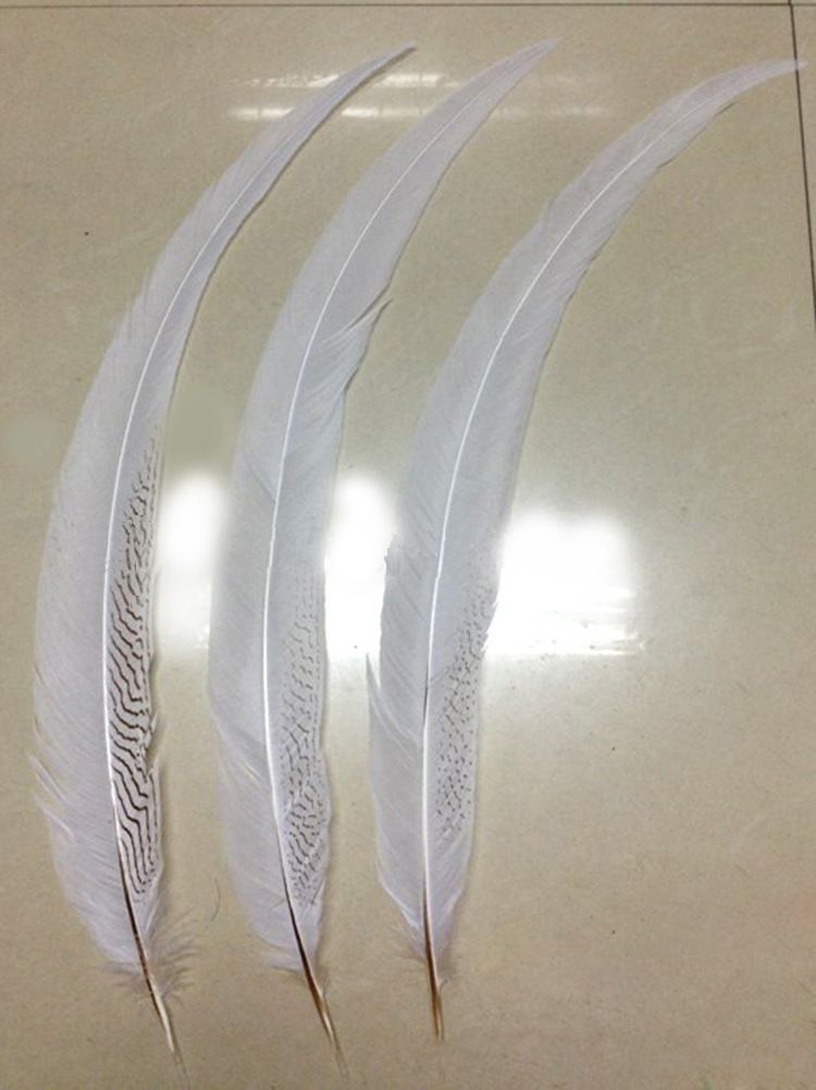 Yiwu Factory Direct Sales Wild Bird Hair Silver Cocktail Feather Craft Can Be Customized Color Carnival Clothing Accessories Yiwu Factory Direct Sales Wild Bird Hair Silver Cocktail Feather Craft Can Be Customized Color Carnival Clothing Accessories