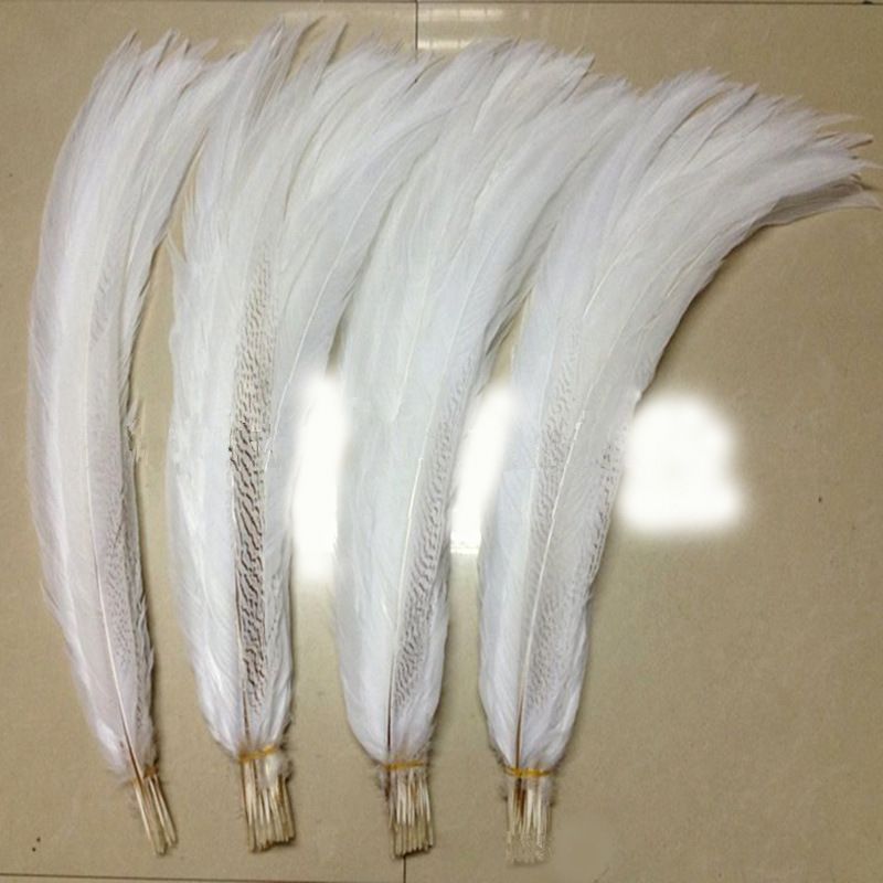 Yiwu Factory Direct Sales Wild Bird Hair Silver Cocktail Feather Craft Can Be Customized Color Carnival Clothing Accessories Yiwu Factory Direct Sales Wild Bird Hair Silver Cocktail Feather Craft Can Be Customized Color Carnival Clothing Accessories