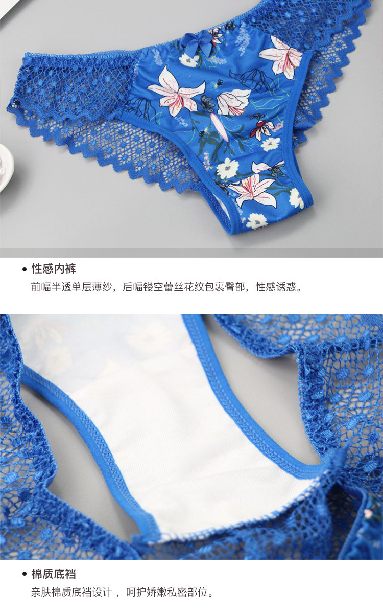 2021 New Large Size Back Shaping Bra Set Printed Sexy Women Lace French Underwear Suit Cross-Border Hot