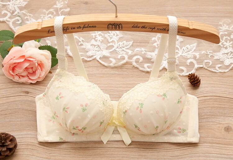 Lace girl bra set without underwire adjust gather sexy girl student underwear wholesale