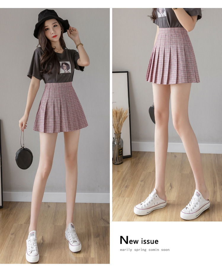 Pleated Skirt Women's Short Skirt High Waist Korean Style New Skirt Women's Summer Autumn plus Size A- line Embroidery Student Dress