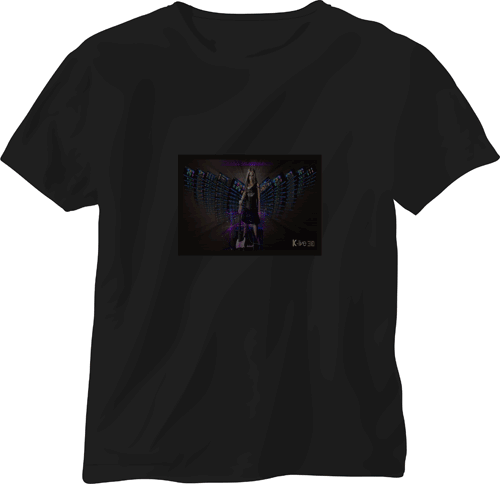 EL Flash t shirt light emitting t-shirt music voice-activated t-light clothes cold tablets