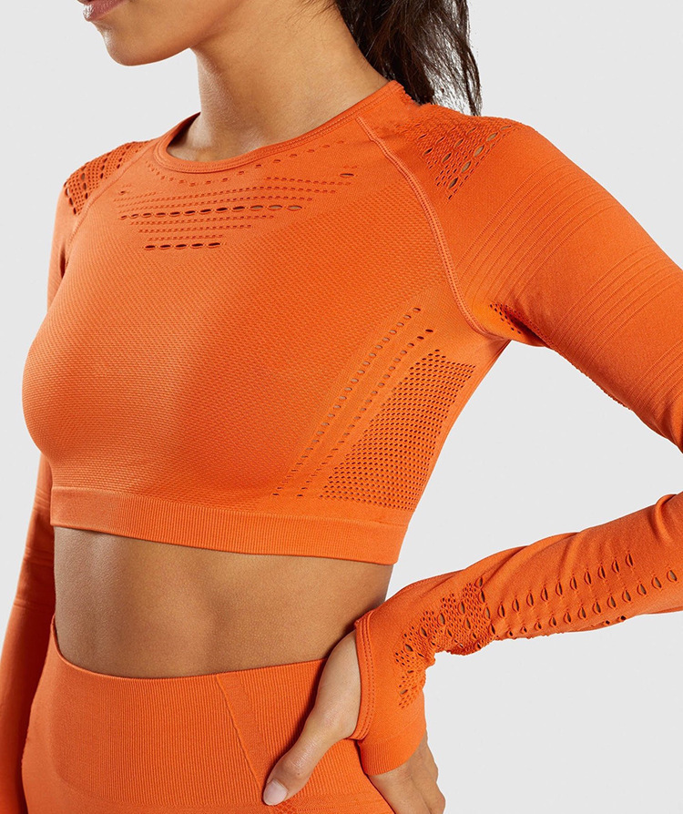 Spot European and American Yoga Exercise Suit Hollow Breathable Tight Clothes Women's Running Workout Long Sleeve Trousers Two-Piece Set
