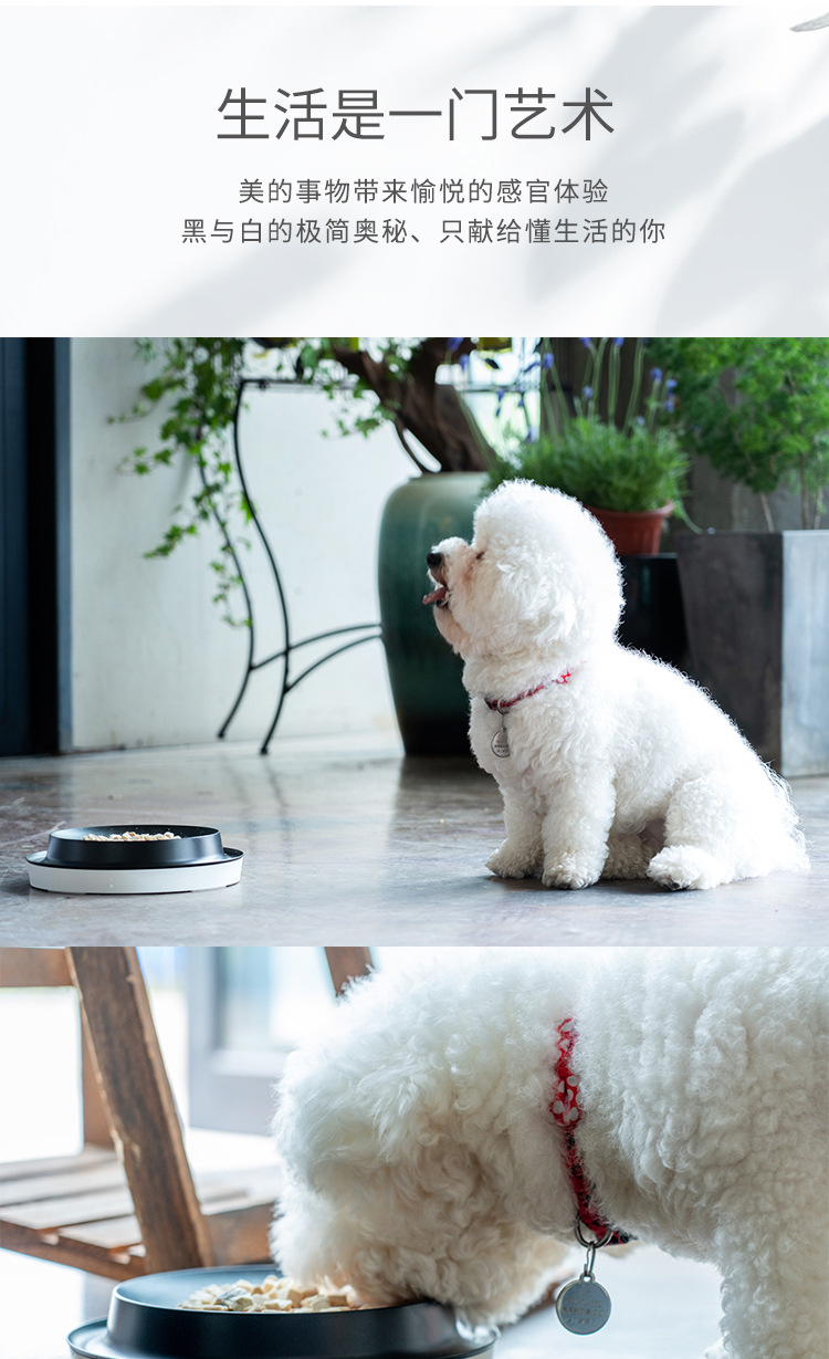 Brand Customized Pet Supplies Chinese Style Reversi Dog Bowl Separated Double Bowl Cat Bowl Anti-Tumble Pet Bowl Brand Customized Pet Supplies Chinese Style Reversi Dog Bowl Separated Double Bowl Cat Bowl Anti-Tumble Pet Bowl