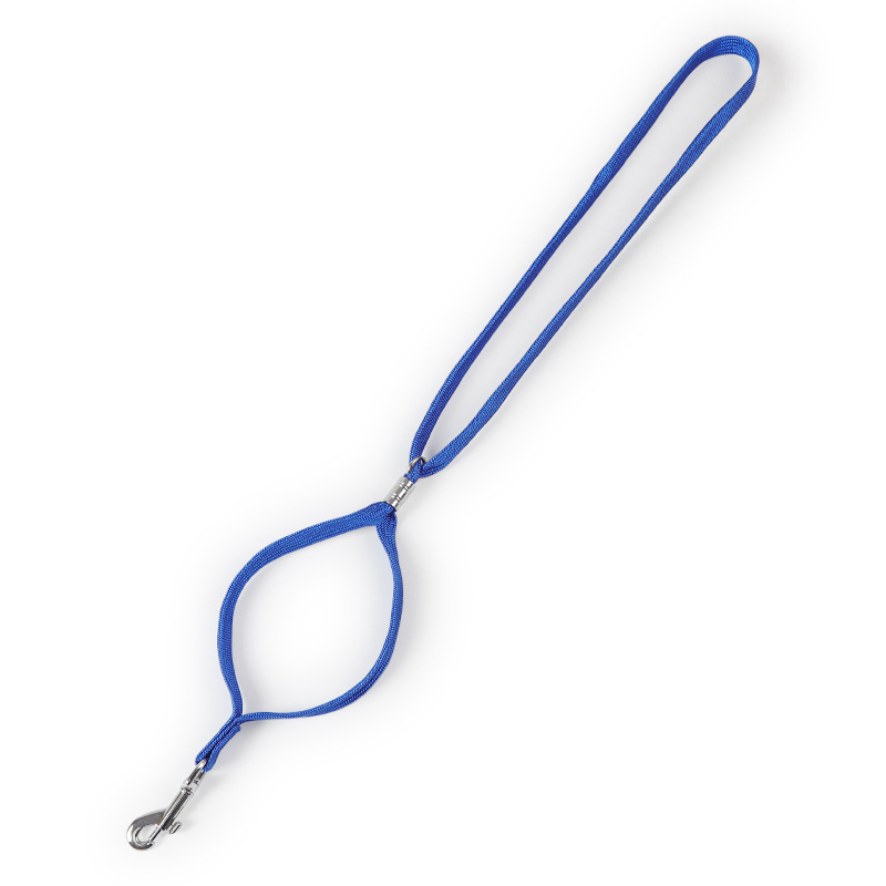 In Stock Wholesale Pipetao Bath Beauty Fixed Pet Rope 48cm Pet Cosmetic Table Dedicated Hang Rope In Stock Wholesale Pipetao Bath Beauty Fixed Pet Rope 48cm Pet Cosmetic Table Dedicated Hang Rope
