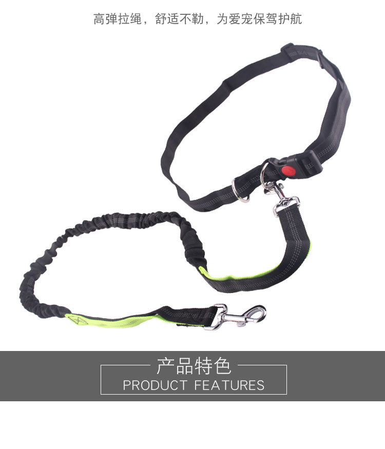 Amazon Pet Supplies Explosion-Proof Elastic Nylon Pet Running Hand Holding Rope Pet Rope in Stock Wholesale Amazon Pet Supplies Explosion-Proof Elastic Nylon Pet Running Hand Holding Rope Pet Rope in Stock Wholesale